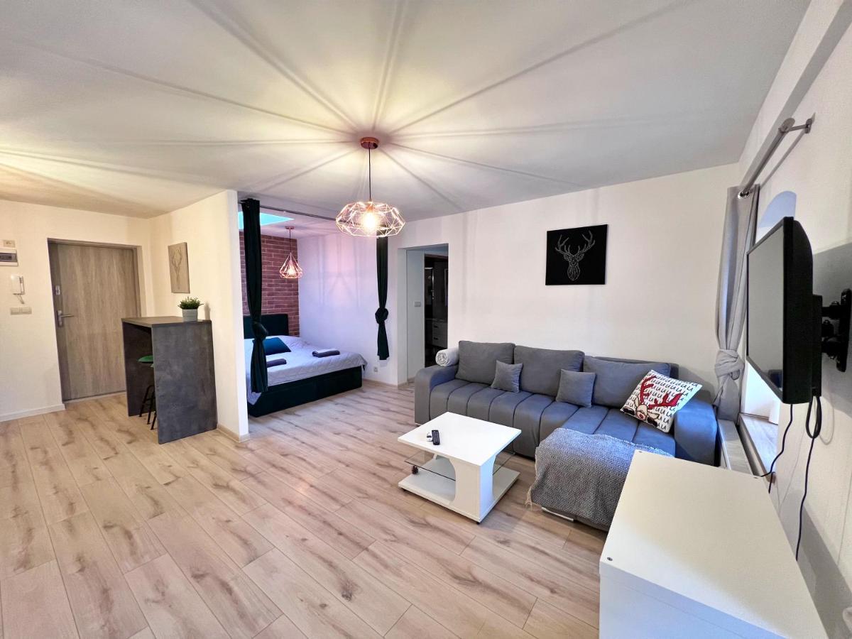Apartament W Samym Centrum Jeleniej Gory Jelenia Góra Eksteriør bilde